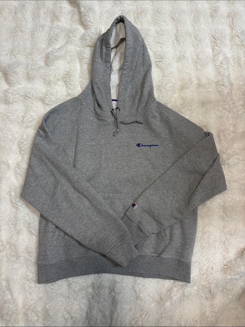 Champion Heather Gray Hoodie with Navy Script Logo